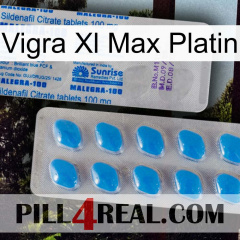 Vigra Xl Max Platinum new15